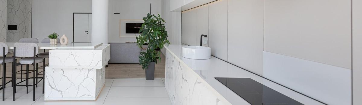 Asko Dishwasher Repair In Hollywood Test